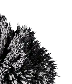 cryo